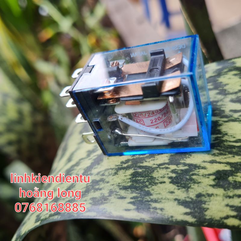 Rơle trung gian  8 chân lớn 12v 24v 220v