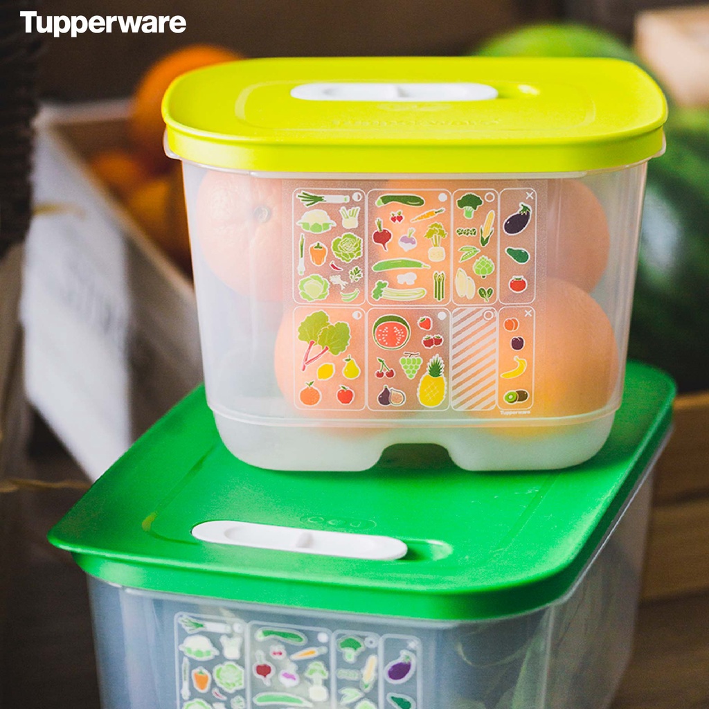 Bộ Trữ Mát Ventsmart Có Nút Hô Hấp 4 hộp Tupperware - Mới