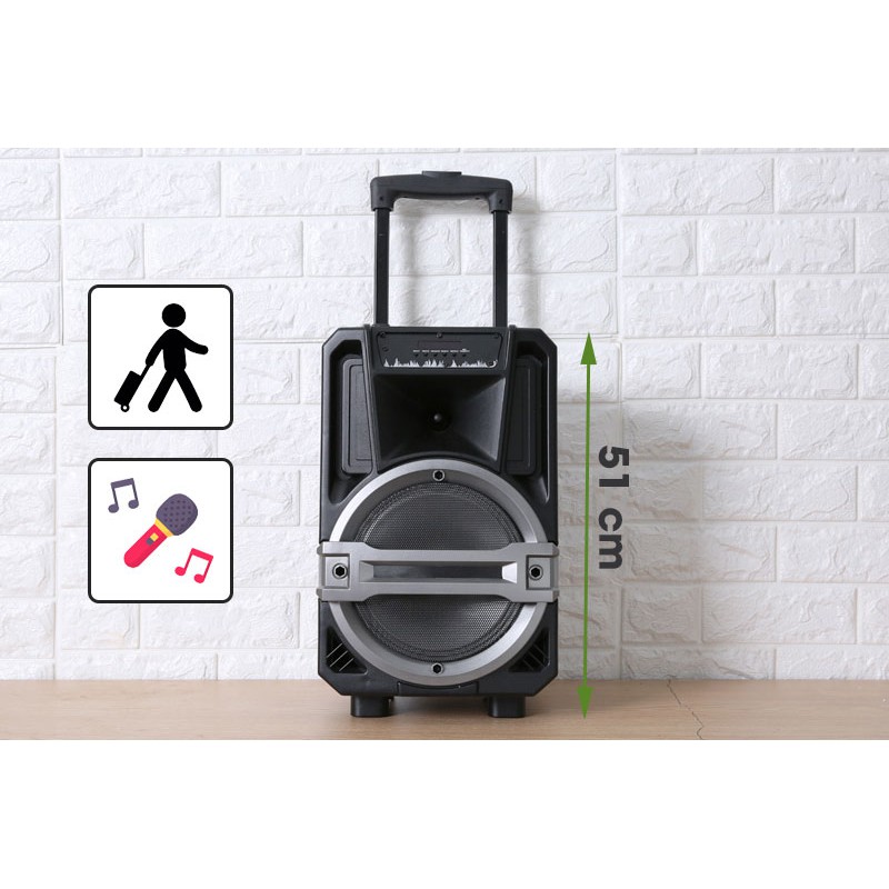 Loa Kéo Karaoke Enkor L0810K Đen 25W - Like New