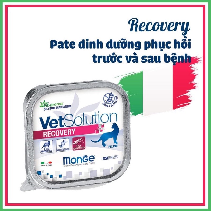 Pate hỗ trợ phục hồi Monge Vet Solution dành cho Mèo - Monge Vet Solution for Cats