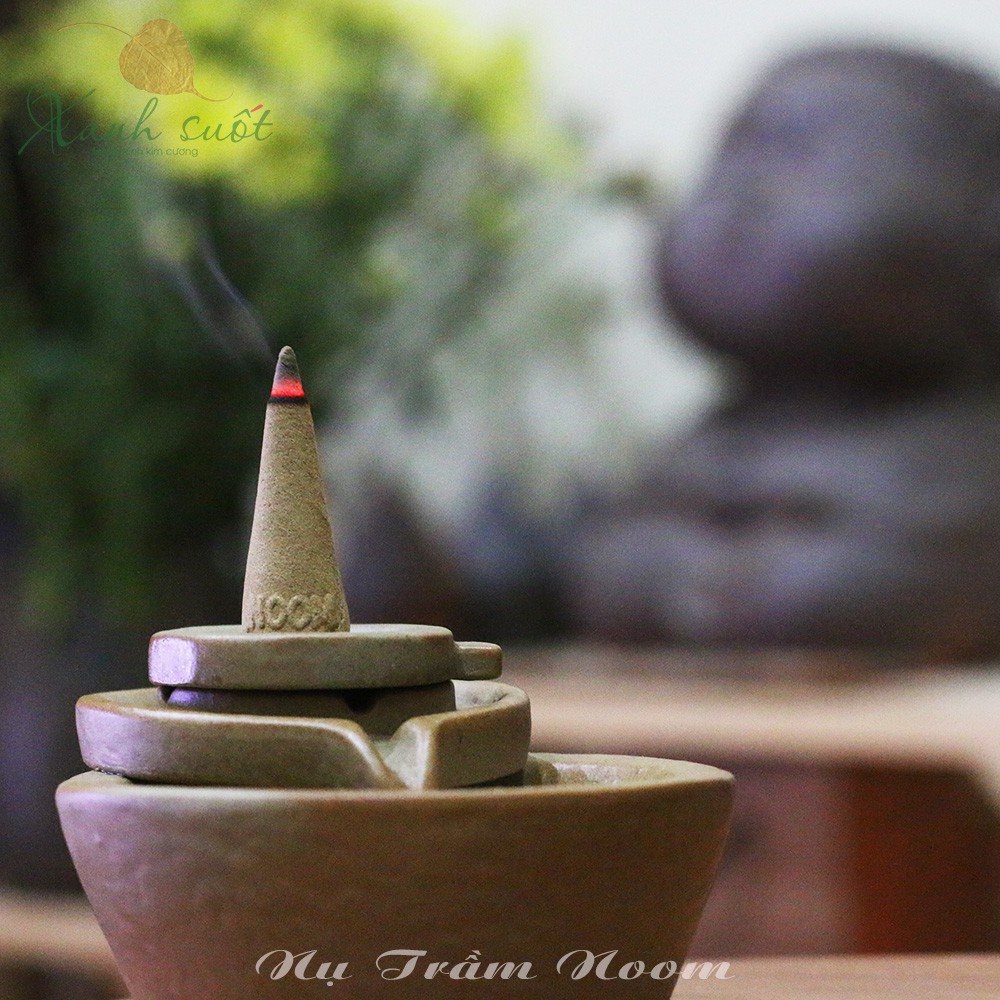 [Noom] Nụ Trầm Hương- Khử Mùi, Xua Trược Khí, Xông Nhà Mới, Thư Giãn - Agarwood Buds - Nhang Trầm Nụ Noom [Xanh Suốt]