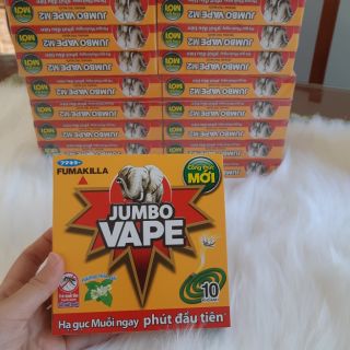 HỘP NHANG MUỖI 10 KHOANH HOA LÀI (Kèm clip)