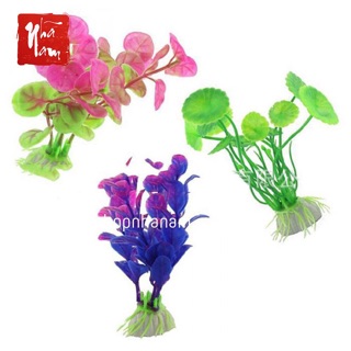 Cây nhựa mini trang trí