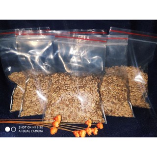 Hạt giống cỏ lúa mì 50gram