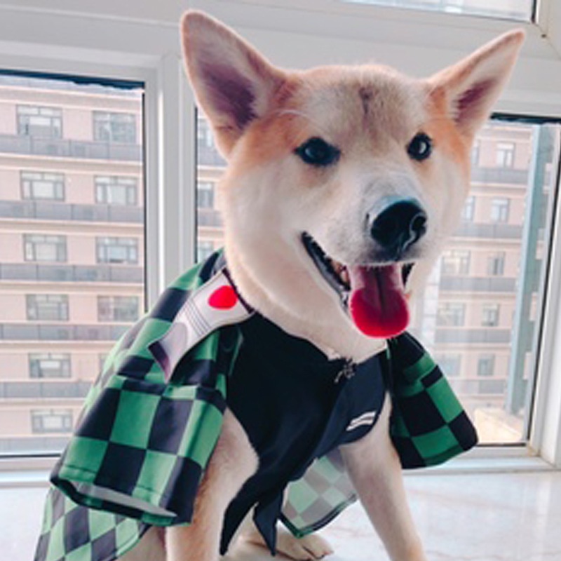 Trang phục hóa trang nhân vật hoạt hình Demon Slayer Kimetsu No Yaiba dễ thương vui nhộn cho mèo Katten Kedi Disfraz Para Gato