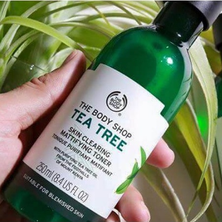 Sữa Tắm Tea Tree Giảm Mụn Lưng The Body Shop 250ml 𝕃𝕒𝕧𝕚𝕖𝟘𝟘𝟙 𝕊𝕙𝕠𝕡