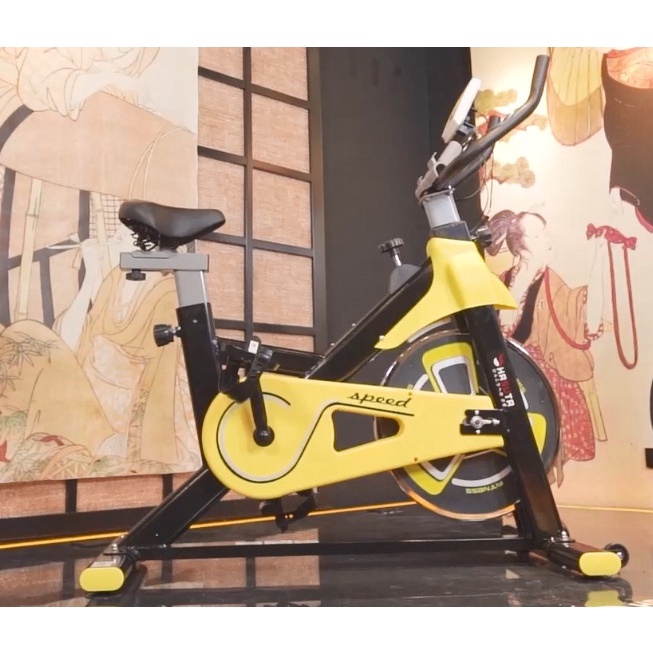 Xe đạp tập thể dục HASUTA HEB-803, tải trọng khủng, săn chắc cơ , giảm mỡ thừa