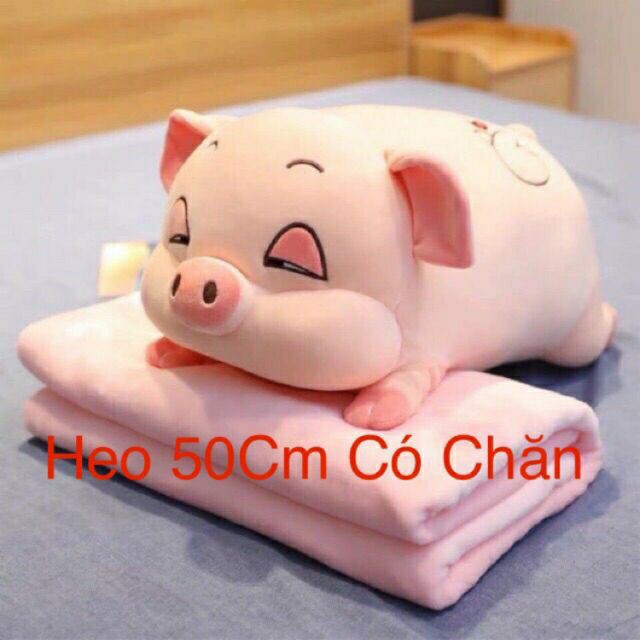 Bộ chăn, gối công sở, văn phòng hình Heo, Lợn ngộ nghĩnh siêu đẹp