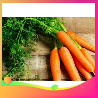 Hạt Giống Cà Rốt F1 - 200 Hạt VIETGAR