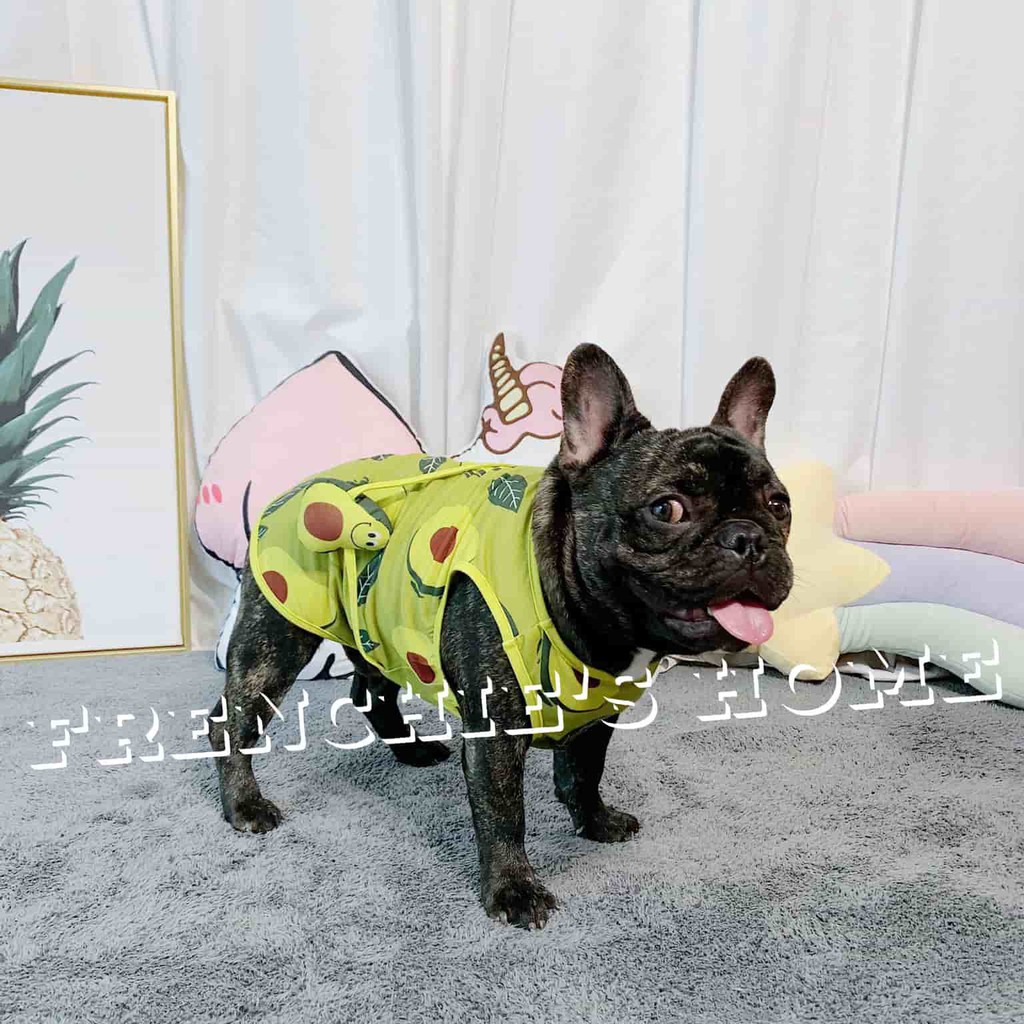 ÁO SÁT NÁCH 3 LỖ "TRÁI 🥕CÀ RỐT🥕 - 🍉DƯA HẤU🍉- 🥑BƠ🥑" CHO CHÓ BULL/PUG ( FRENCHIE'S SHIRT )