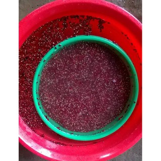 NGŨ CỐC SẠCH NANA