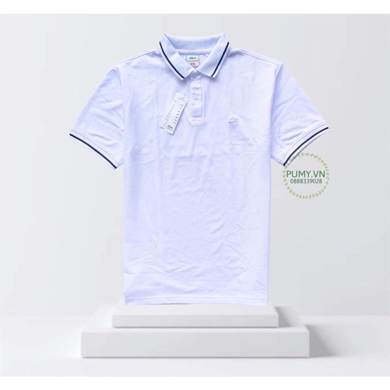  Áo thun nam cá sấu XK, thun mềm đẹp - form chuẩn | BigBuy360 - bigbuy360.vn