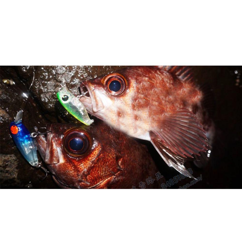 Mồi Câu Cá Giả Dài Hữu Dụng Cho Mùa Đông