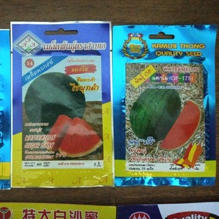 Hạt giống dưa hấu không hạt vỏ sọc Thái10 hạt (TẶNG gói kích thích hạt nảy mầm)