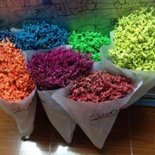 Hoa sao khô trang trí cắm bình