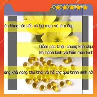 Hoa anh thảo hàn quốc
