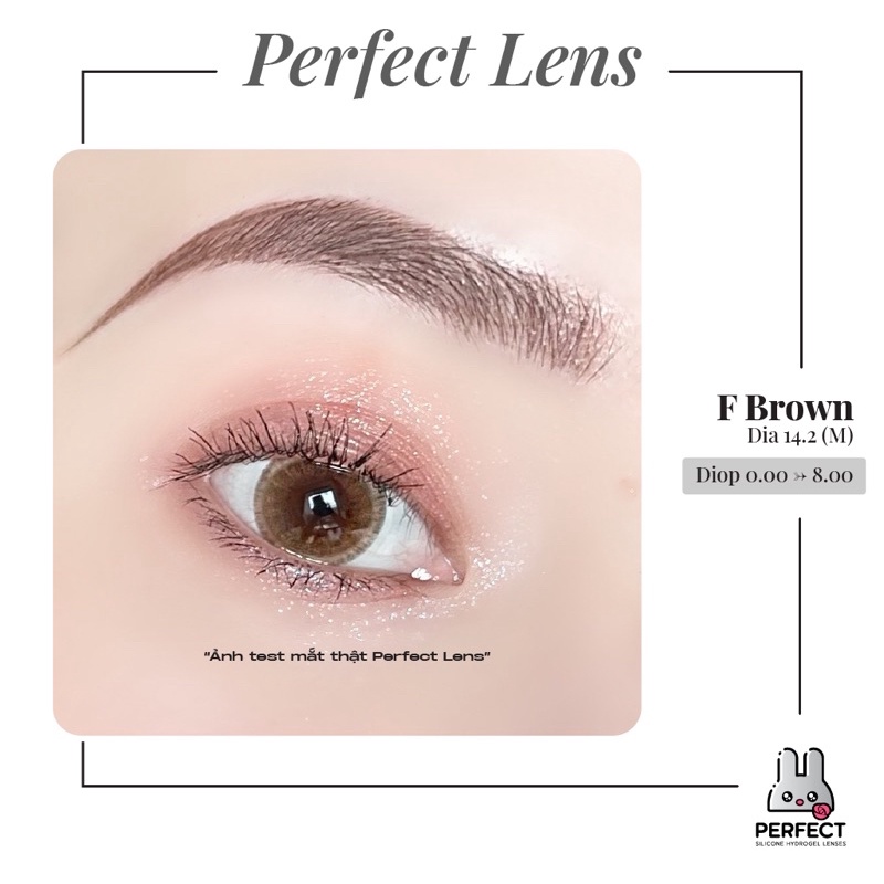 Lens Ảnh Mắt Thật, F Brown Perfect Lens, dia 14.2, kính áp tròng nâu giãn vừa, có độ cận, có viền