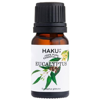 Tinh dầu khuynh diệp Eucalyptus