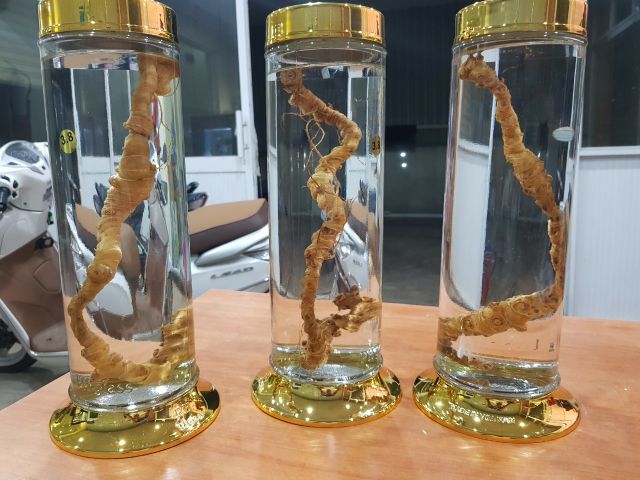 Hủ Sâm thủy tinh hình ống 0,8Lít / 1,18Lít / 1.48Lít / 1.8Lít / 2.28Lít   Phú Hoà