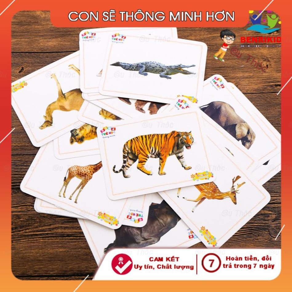 Thẻ học thông minh song ngữ Anh-Việt, Flashcard chủ đề động vật nuôi cho bé - SHOP CU BIN