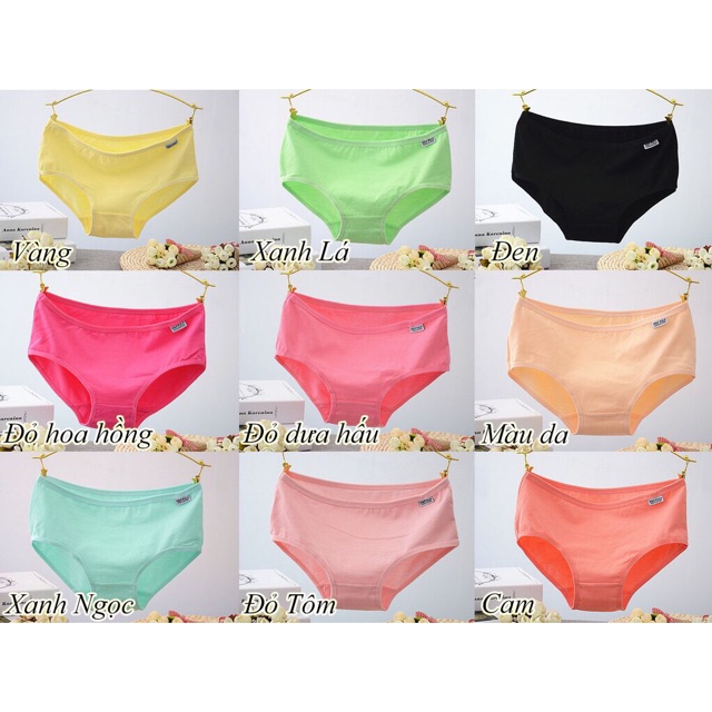 FREE SHIP ĐƠN 99K_Quần lót cotton Pulo PL96 | BigBuy360 - bigbuy360.vn