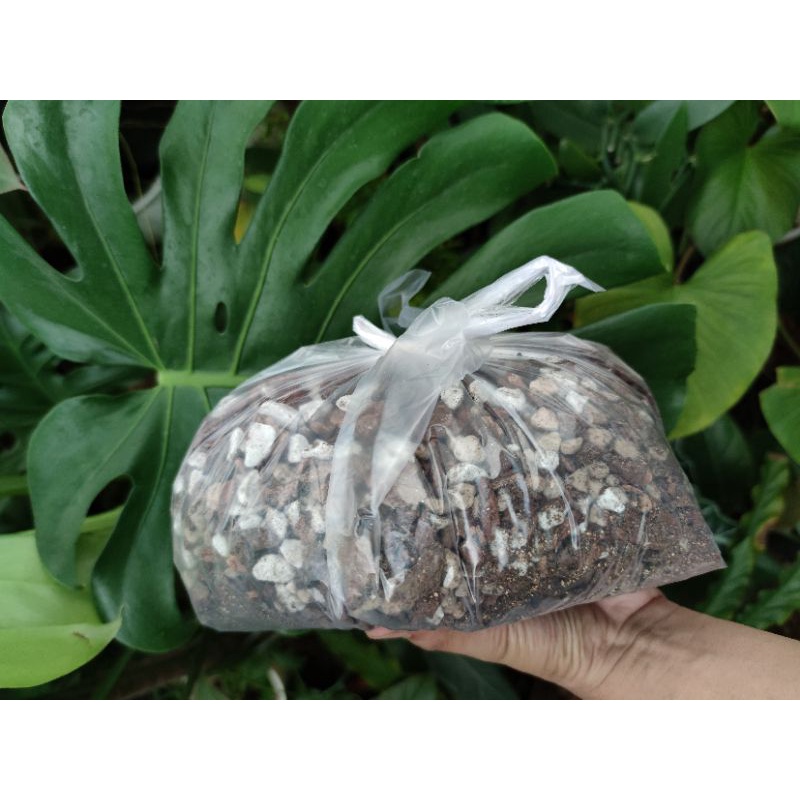 Potting Soil BA - Giá Thể Kiểng Lá, Hoa Hồng 20dm3