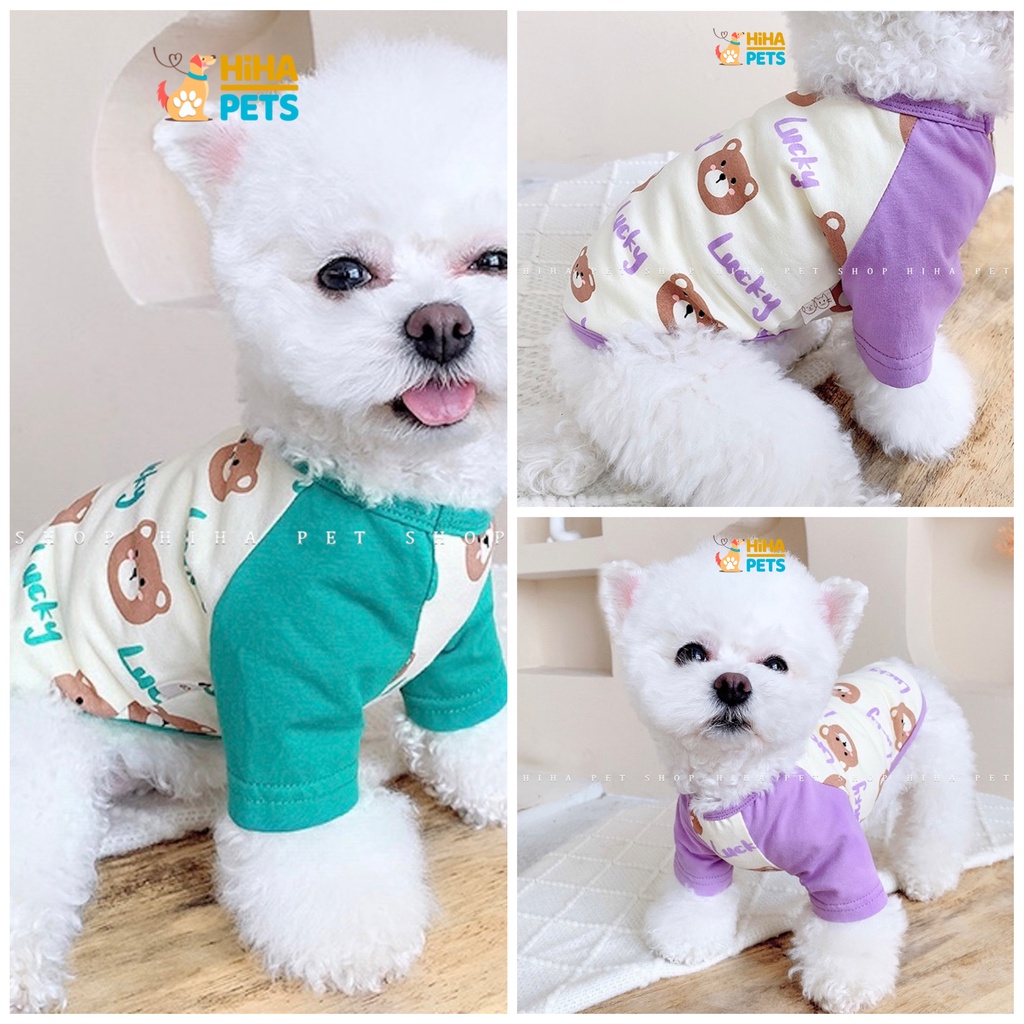 Áo Thun Chó Mèo Thun Cotton 100% Hàng Cao Cấp Quần Áo Thú Cưng Thời Trang Mùa Hè Hihapet.