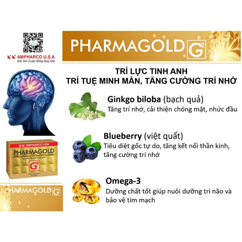 Pharmagold G2tăng cường lưu thông máu,thiểu năng tuần hoàn não,bổ sung vitamin cho cơ thể