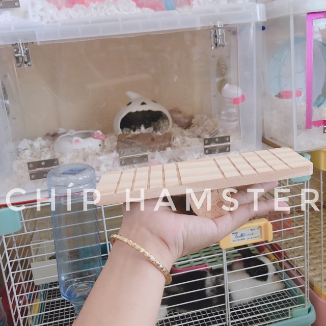 Bập bênh gỗ lớn [Hamster] 2 mẫu