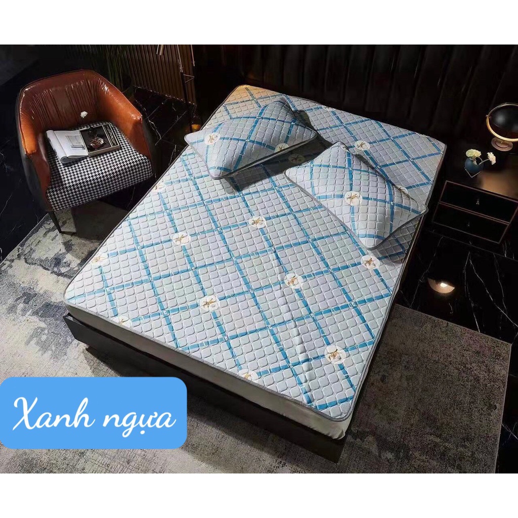 Chiếu điều hòa cao su non, vải lụa Tecel cao cấp, kích thước m6/m8/2m2- Khủng long nhí