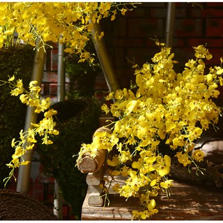 Cành lan Vũ nữ lụa cao cấp-cành cao 88cm
