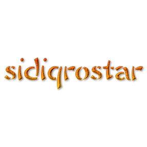 sidiqrostar.vn