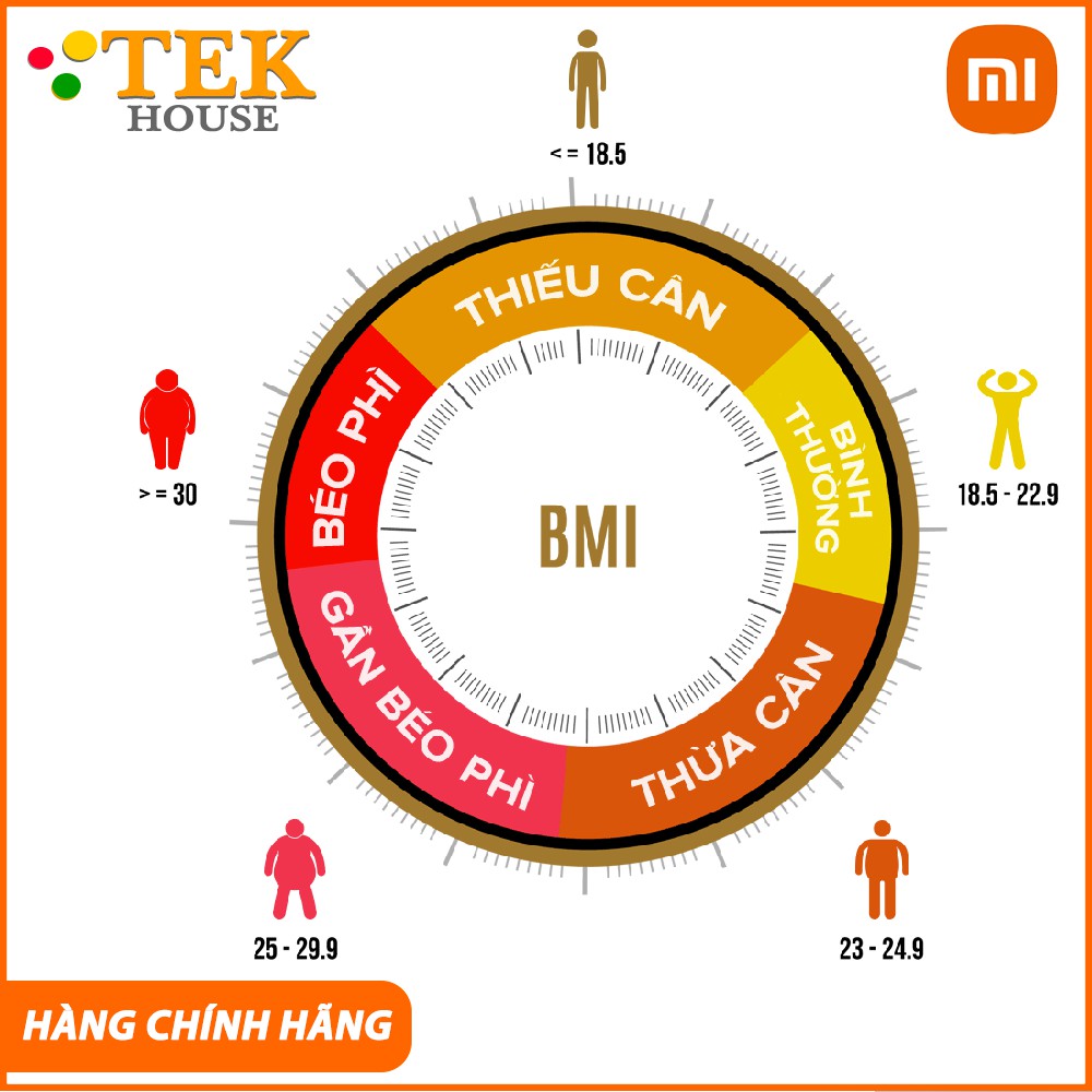 Cân Điện Tử Thông Minh Bluetooth Xiaomi Smart Scale Gen 2 – Bác Sĩ Gia Đình, Trợ Lý Sức Khỏe - TekHouse