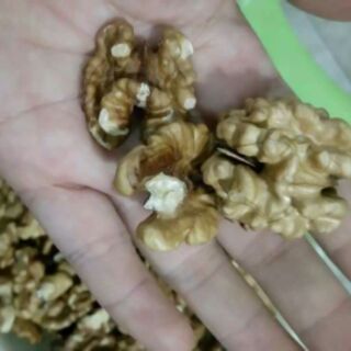 Hạt óc chó