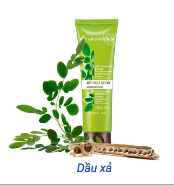 Dòng Dầu gội detox của hãng yves rocher pháp