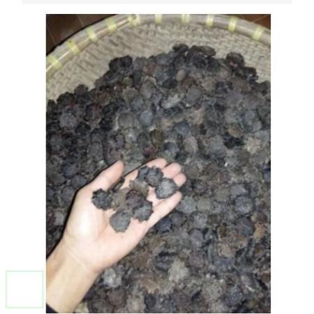 1kg hạt gấc khô ( mộc miết tử) hàng chuẩn loại 1