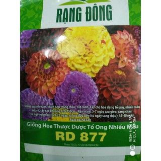 Hạt giống hoa thược dược tổ ong nhiều màu❤️freeship xtra❤️