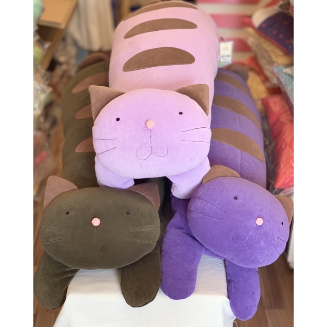 Mèo đít bự Hikosen Cara 1m3 ôm siêu đã