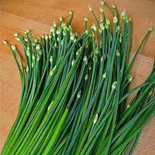 5 gram hạt giống rau hẹ bông