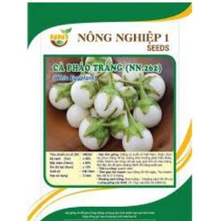 HẠT GIỐNG CÀ PHÁO TRẮNG CAO SẢN
