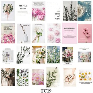 [ MẪU 2021- TẠP CHÍ DECOR] Quyển Tạp Chí Chụp Ảnh, Phụ Kiện Decor Chụp Ảnh, Phụ Kiện Trang Trí