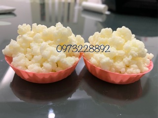 Nấm sữa kefir/Milk kefir