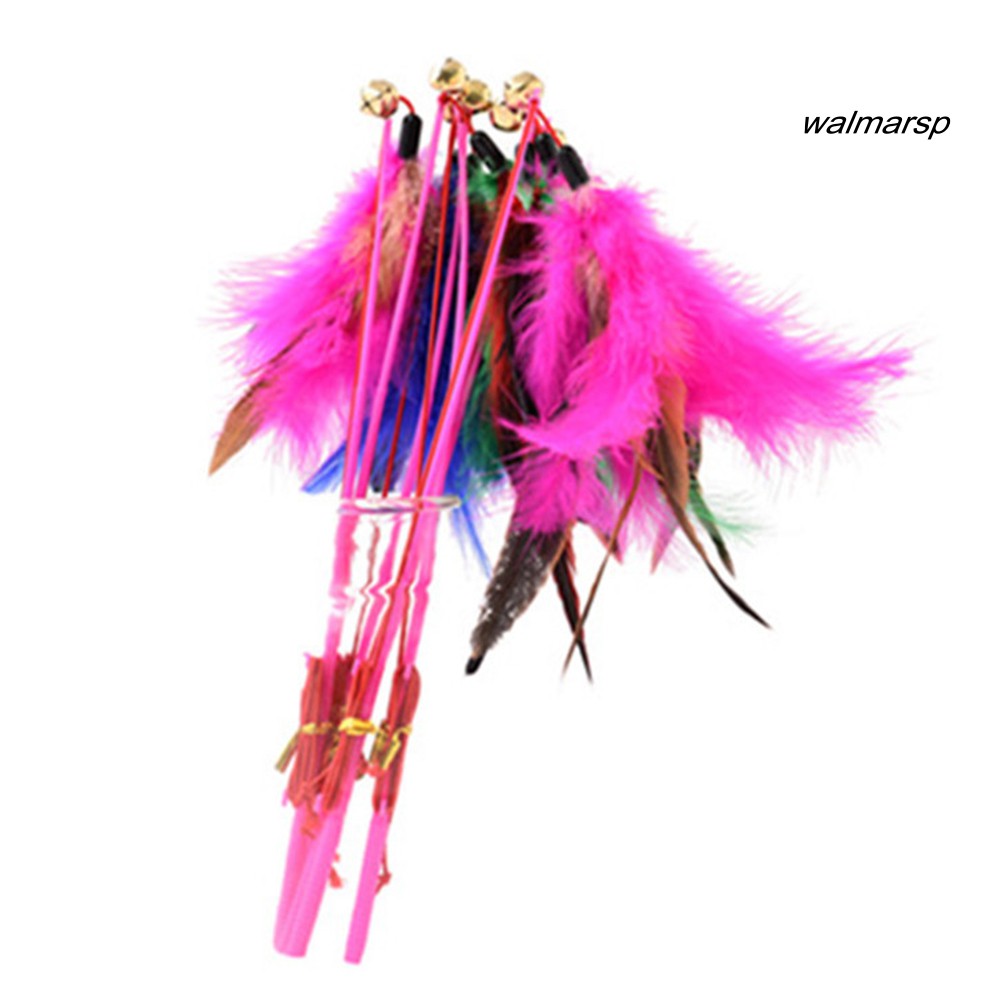 Gậy đồ chơi tương tác với mèo có lông vũ và chuông