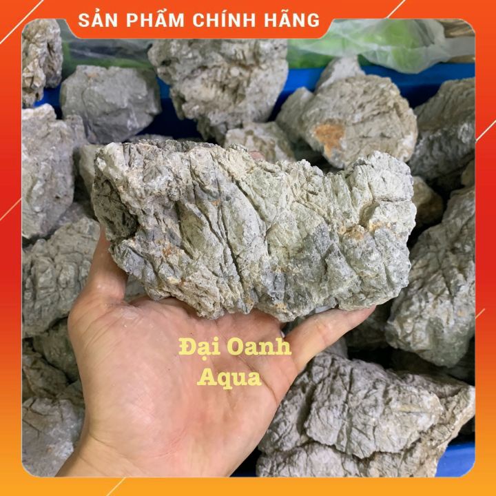 1Kg Đá Da Voi Setup Bể Cá, Trang Trí Bố Cục Bể Cá Thủy Sinh