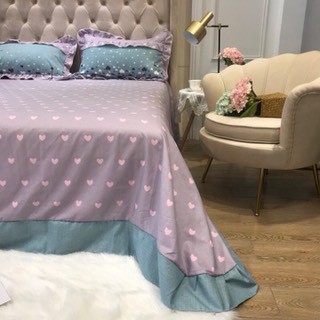 Bộ_vỏ_chăn_ga_gối_cotton_Bèo_100%_cotton