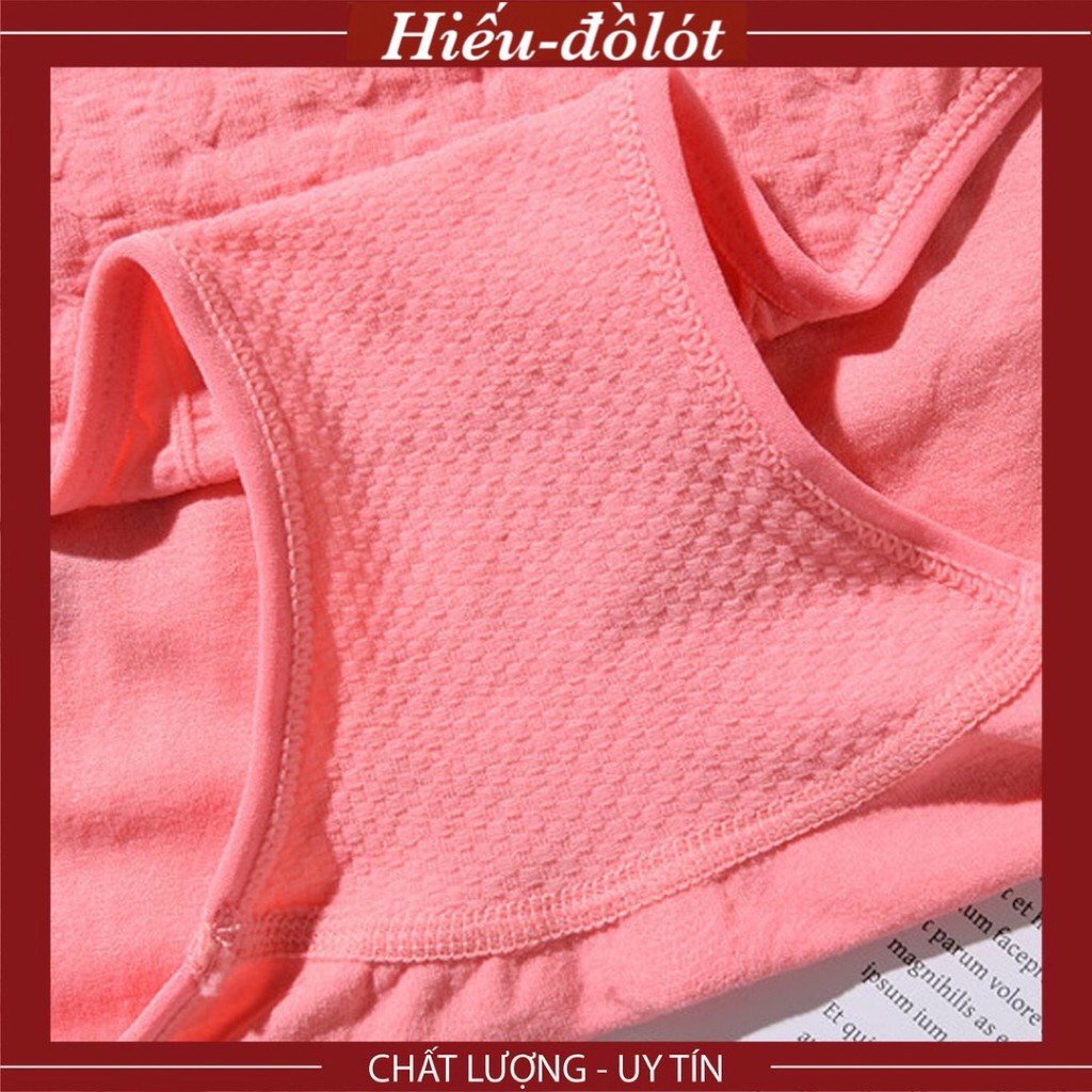(Combo 3) Quần Lót Cotton Thấm Hút Tốt Giãn 4 Chiều Mềm Mại Hieu Store24h - 8104
