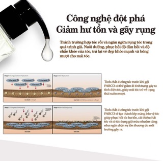 COMBO GỘI - DƯỠNG PHỤC HỒI GIÚP TÓC CHẮC KHỎE PARCO