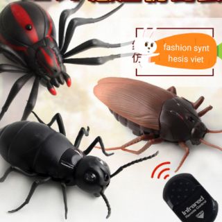 Côn trùng điều khiển từ xa
