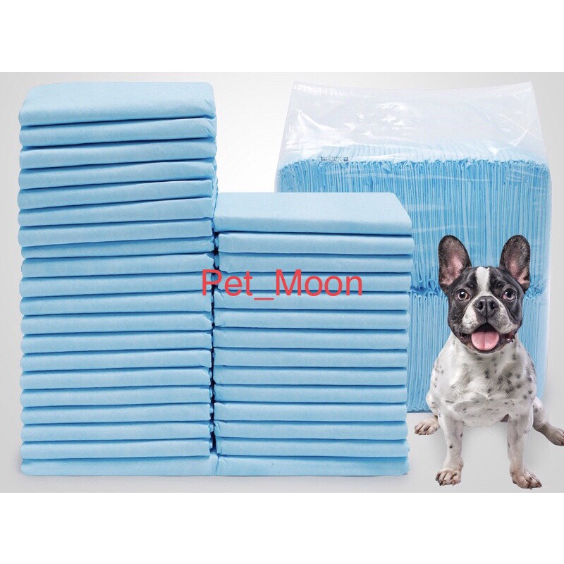 Tã Lót Chuồng - Tã Lót Vệ Sinh Cho Chó Mèo Pet-Moon