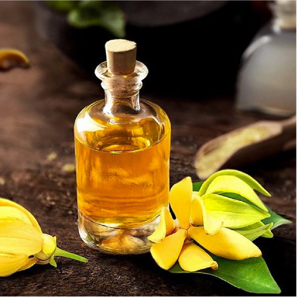 Tinh Dầu Ngọc Lan Tây Thiên Nhiên làm đẹp da, dưỡng tóc suông mượt, thư giãn Ylang Ylang Oil AloAroma